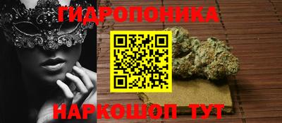 стафф Заводоуковск