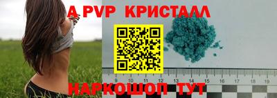 стафф Заводоуковск