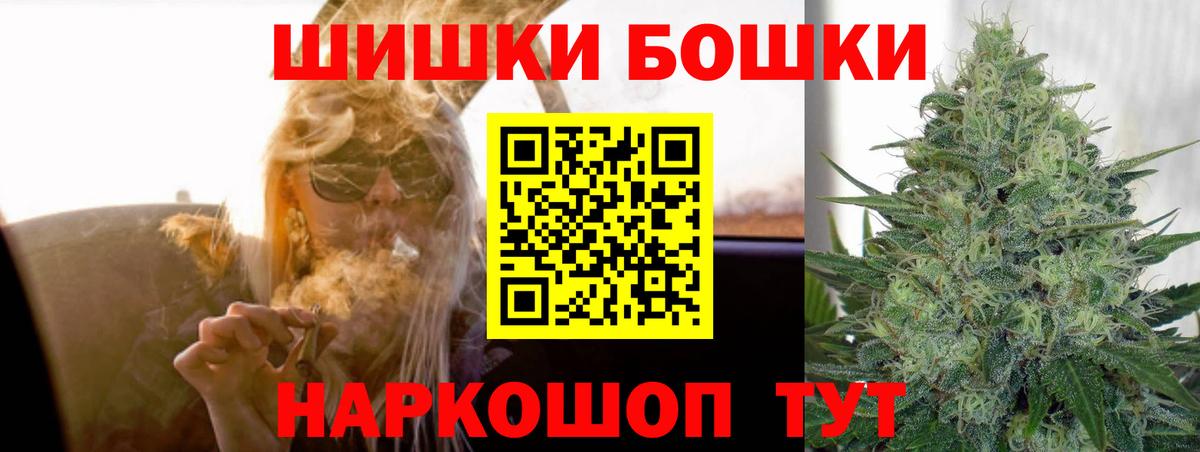 Каннабис конопля Майкоп